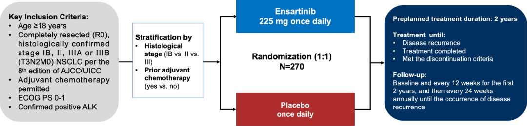 1764225286575600.png 3.png